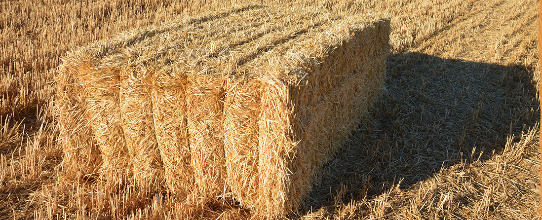Achat vente de paille et foin - Services agricoles à Saint-Bon