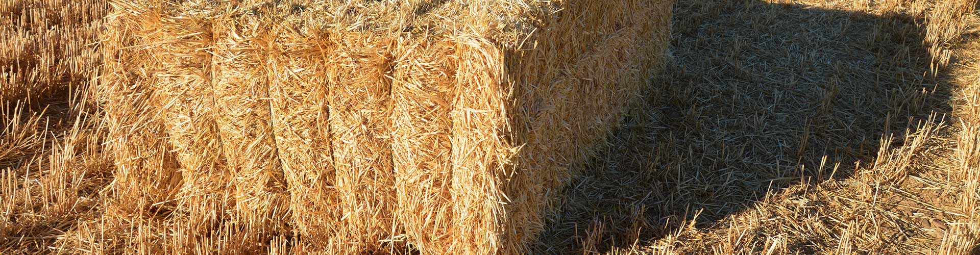 Récolte stockage et revente de paille dans la Marne