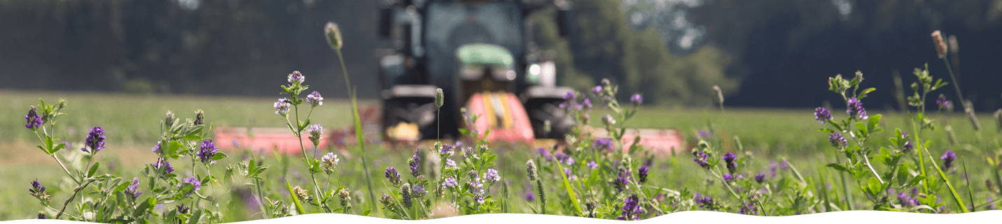 Achat vente de paille et foin - Services agricoles à Saint-Bon