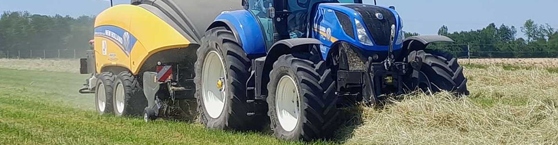 Récolte stockage et vente de foin dans la Marne 