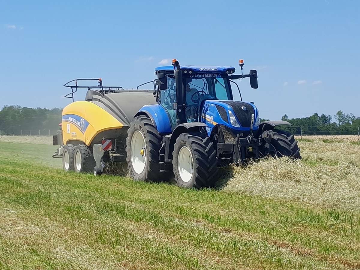 Récolte stockage et vente de foin dans la Marne Récolte stockage et vente de foin dans la Marne
